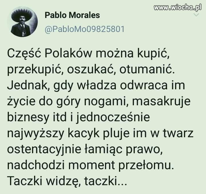 Taczki