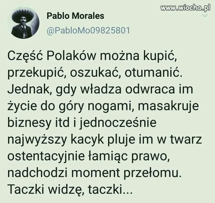 Taczki