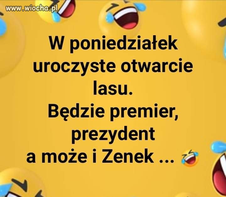 I może prezes też. 