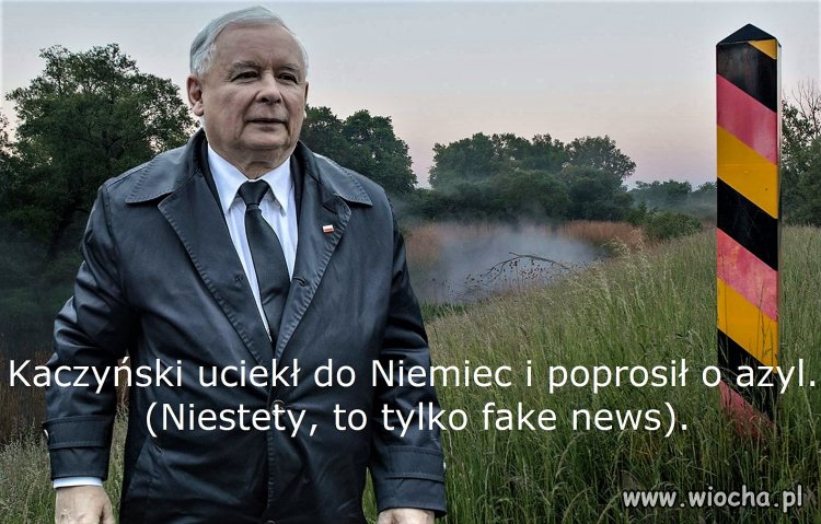 Najnowsze fake newsy.