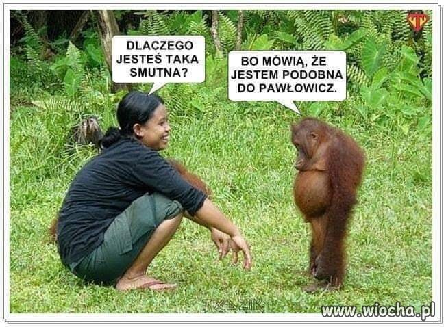 Nie ładnie tak.