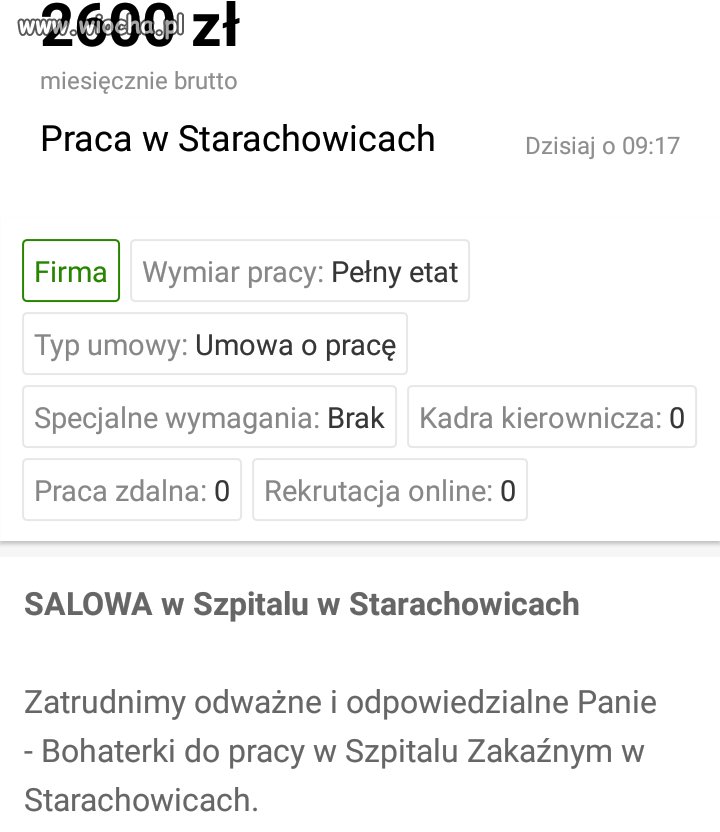 Oferta pracy