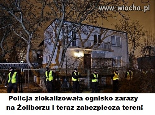 Bez tytułu.