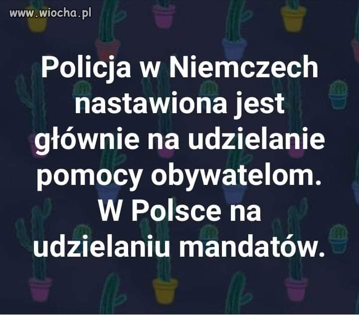 Bo taki nakaz był. 