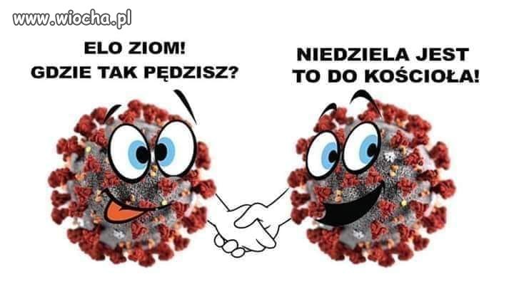 A później mohery po mszy łażą i roznoszą zaraze