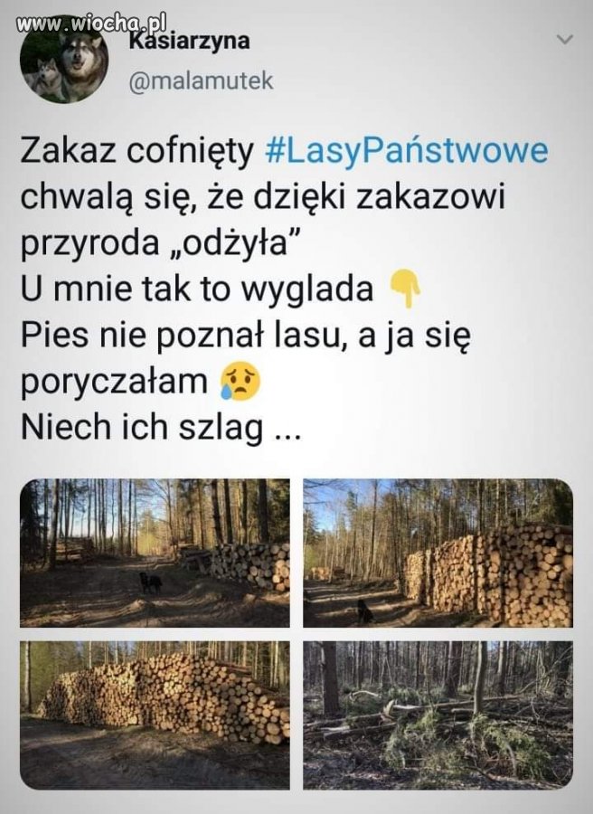 Po to był zakaz wstępu?