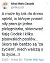 Czy to dobry