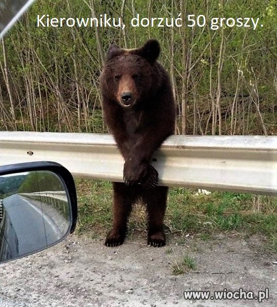 Bez tytułu.