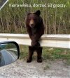 Bez tytułu.