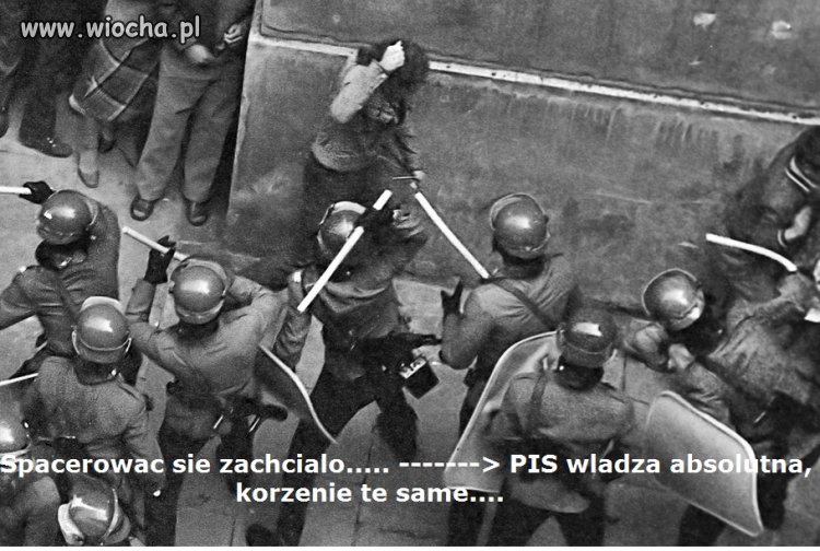 PiS władza absolutna po wyborach...