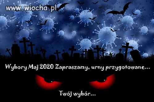 Wybory 2020