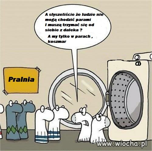 Skarpetki już dawno próbowały się izolować