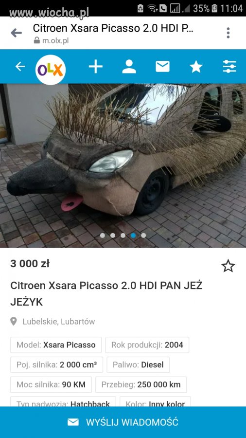 Sezon na jeże 