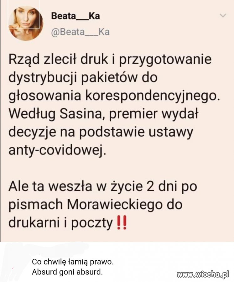 Absurd goni absurd