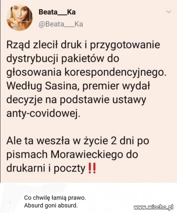 Absurd goni absurd