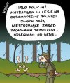 Leśne 