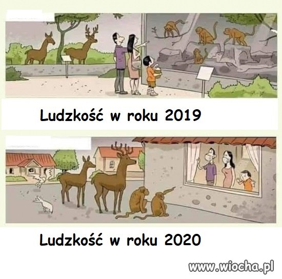 Ludzkość 2019 i 2020