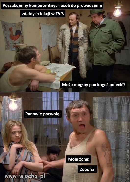 Miś...