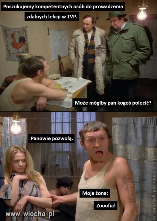 Miś...