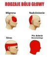 Tak to jest ...