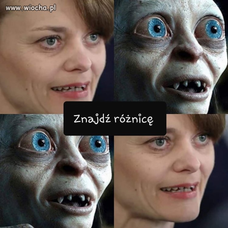 Znajdź 