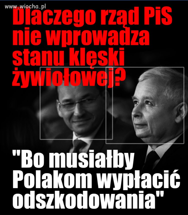 Tyle w temacie