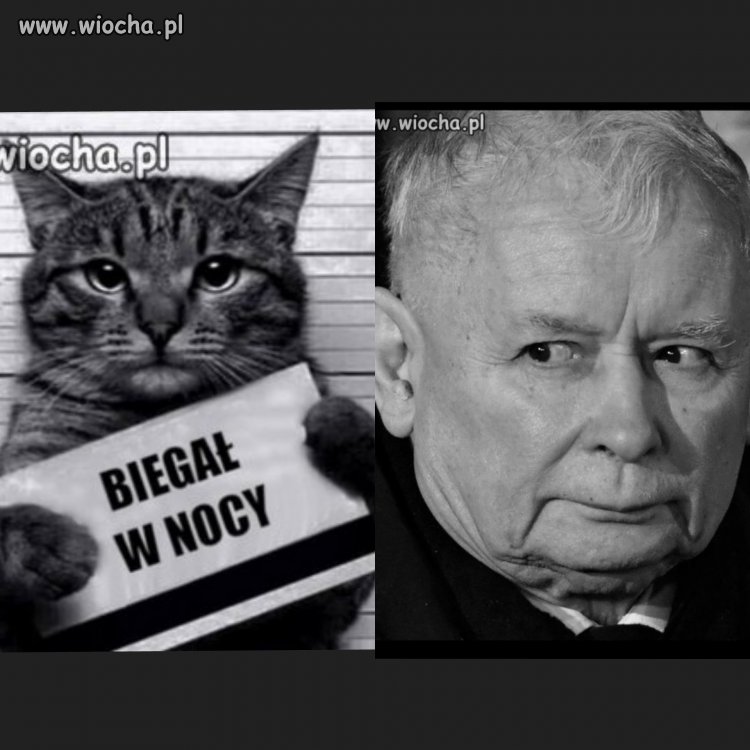 Pogadamy w domu