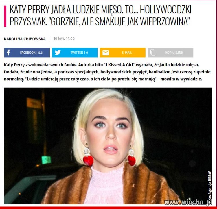 Swiat schodzi na psy.