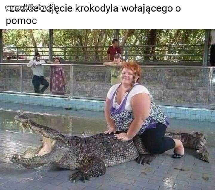 Biedny Gad 