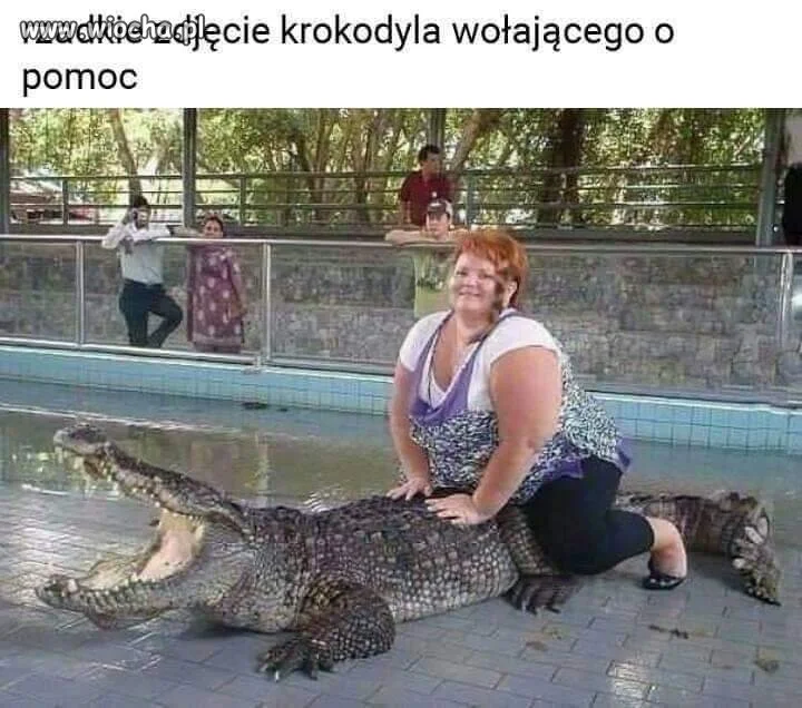 Biedny Gad 