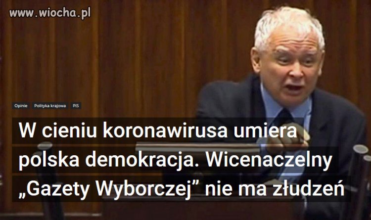 Na łamach prestiżowego austriackiego dziennika Der Standard