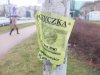 Kredytowe sidła