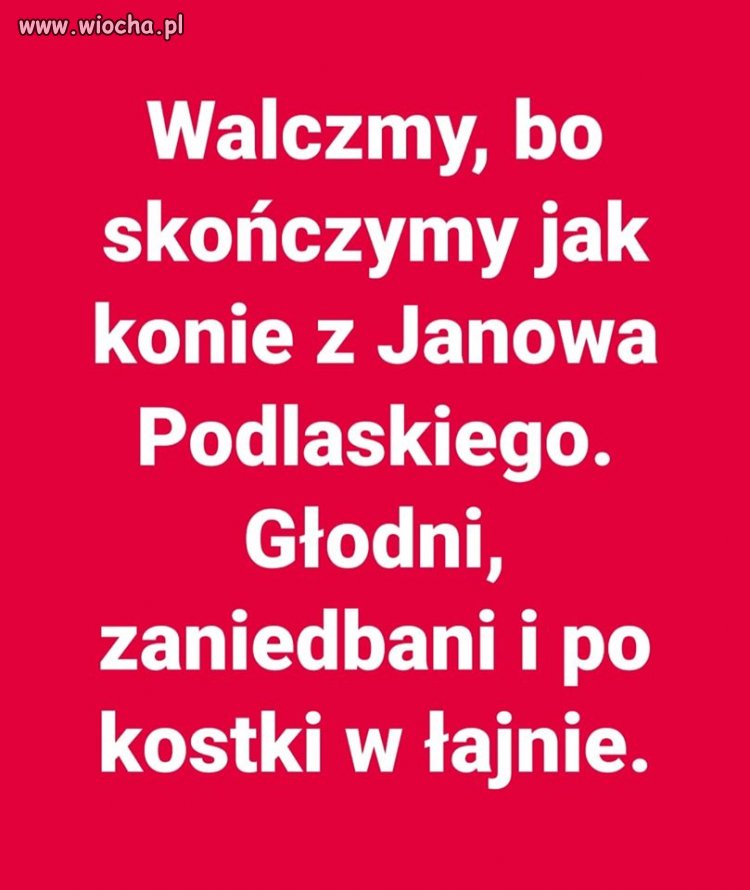 Warto walczyć