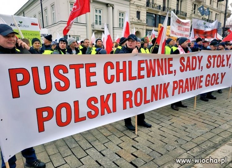 Tytuł zbędny