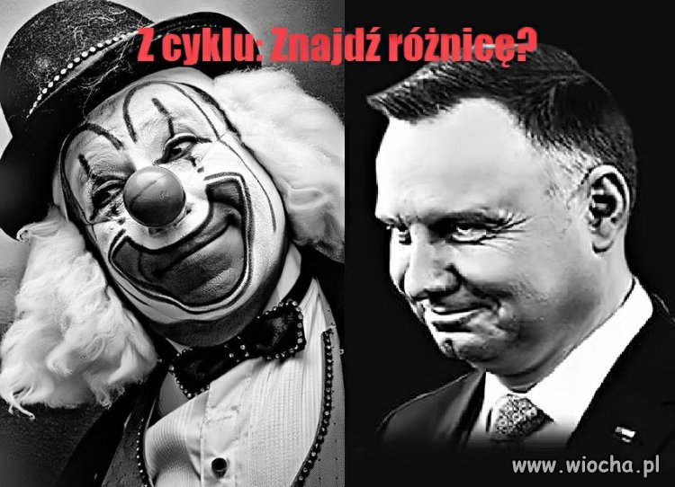 Bez tytułu.