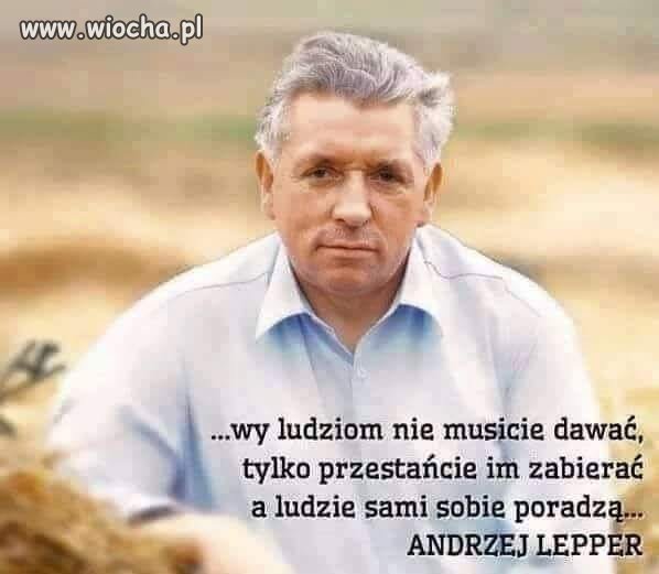 Do opcji rządzącej