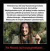 Słuszną linię ma nasza władza ...