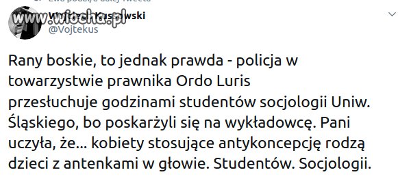 Tymczasem na Uniwersytecie Śląskim 