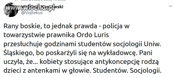 Tymczasem na Uniwersytecie Śląskim 