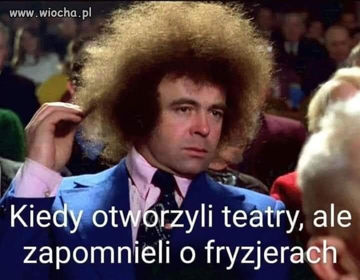 Bareja wiecznie żywy. 