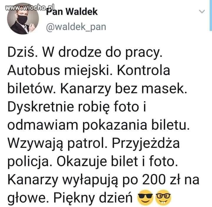 Piękny dzień. 
