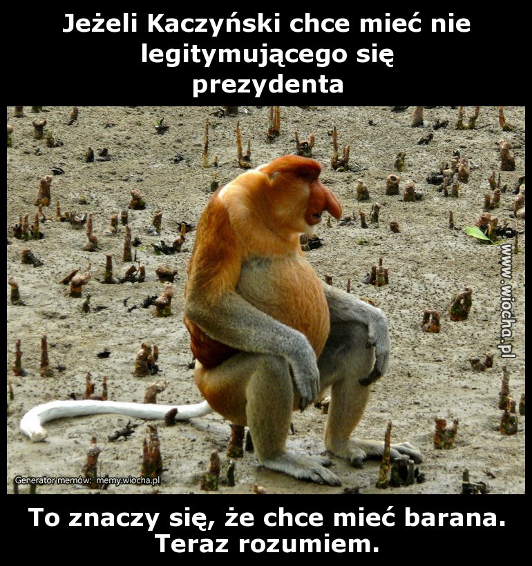 Jeżeli Kaczyński chce mieć nie legitymującego się
