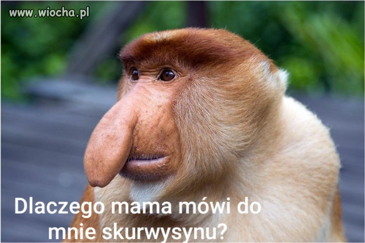 Mamusia