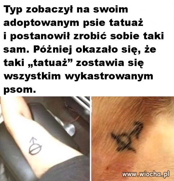 Nie do końca 