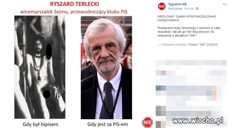 "Pies" - znajdź różnice