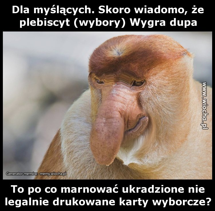  Dla myślących. Skoro wiadomo, że plebiscyt