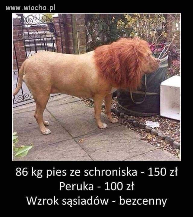 Bo trochę fantazji w życiu trzeba mieć 