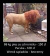Bo trochę fantazji w życiu trzeba mieć 