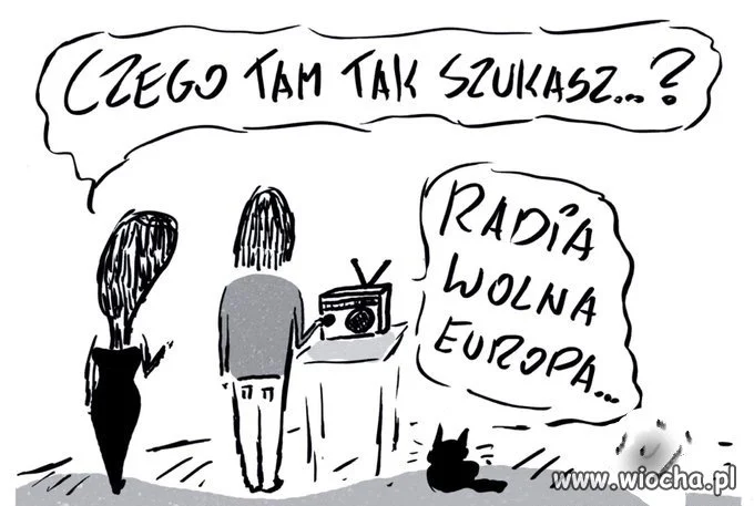 Tytuł zbędny