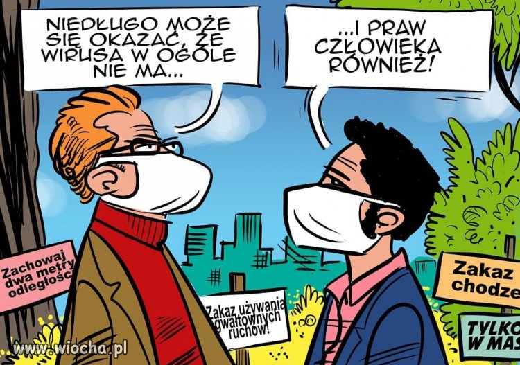 Tytuł ukradli